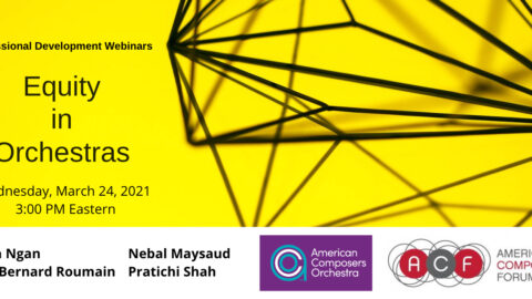 Equity in Orchestras