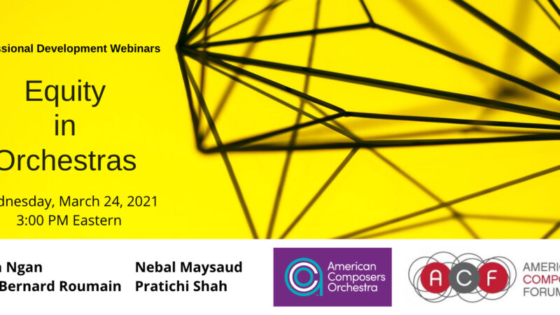 Equity in Orchestras