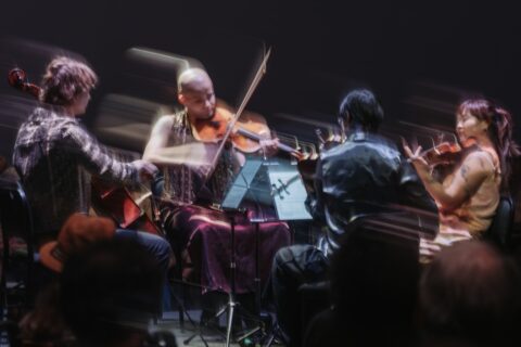 Poiesis Quartet -- Photo by Curtis Perry